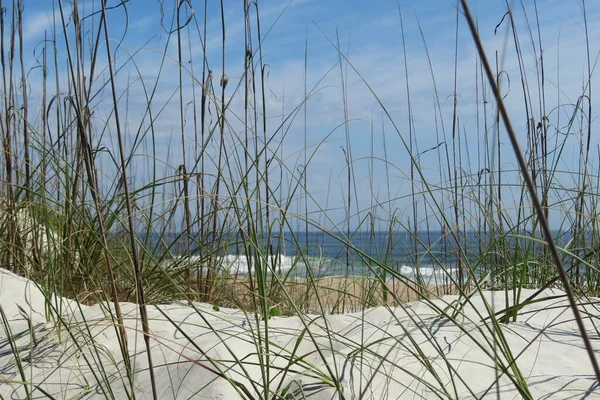 플로리다 해변의 — 스톡 사진