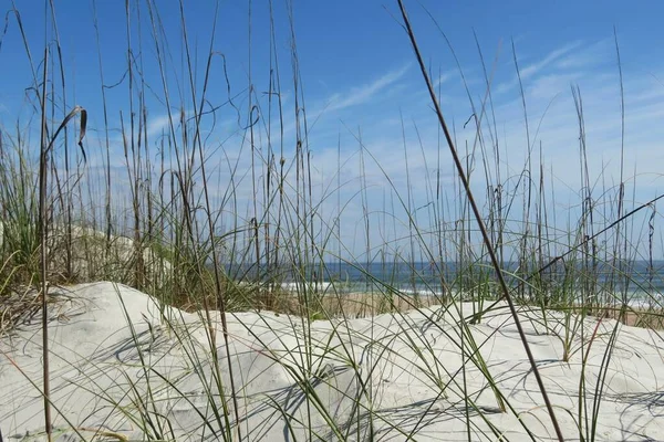 플로리다 해변의 — 스톡 사진