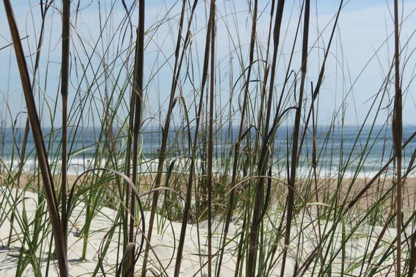 Вид на океан и дюны на пляже Флориды