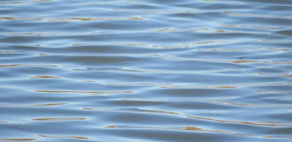 光沢のある青い水の背景のパノラマビュー — ストック写真