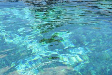 Florida doğasında şeffaf turkuaz göl suyu yüzeyi.