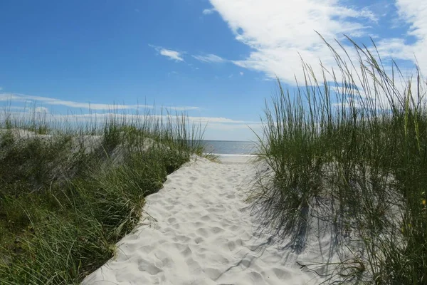 Belle Vue Sur Les Dunes Océan Sur Plage Floride — Photo