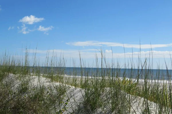 Vacker Utsikt Över Sanddyner Och Hav Floridas Strand Stockfoto