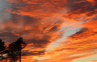 Güzel turuncu gün batımı Florida ormanında, gökyüzünde ateş