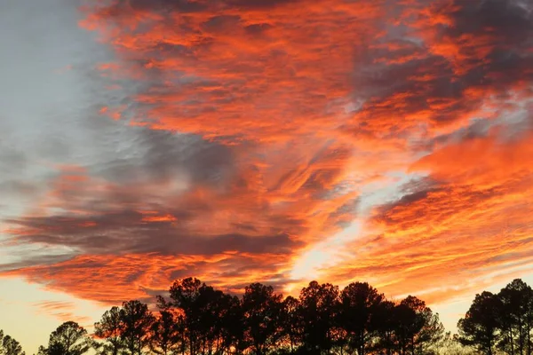 Красивый Оранжевый Огненный Закат Над Лесом Флориды Огонь Небе — стоковое фото