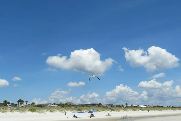 Bella Vista Sul Cielo Sulla Spiaggia Della Florida — Foto Stock