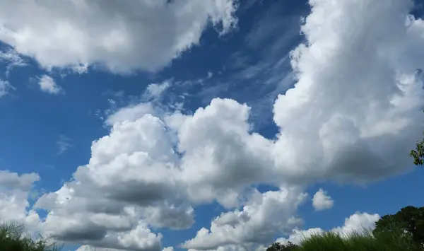 Hermoso Cielo Azul Con Nubes Sobre Bosque — Foto de Stock