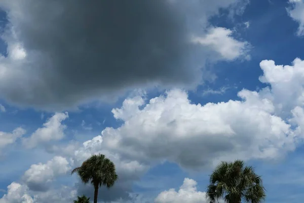 Beautiful Blue Sky Background Fluffy Clouds Florida Nature — Stock Photo, Image