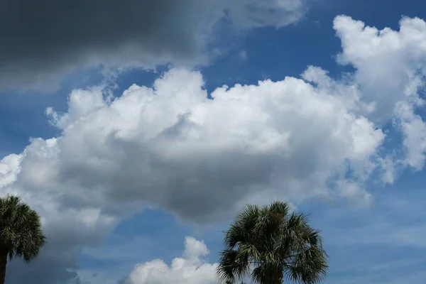 Hermoso Fondo Cielo Azul Con Nubes Esponjosas Naturaleza Florida — Foto de Stock