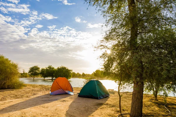 Camping tent in forest near a lake. A view from Al Qudra lake Dubai United Arab Emirates.