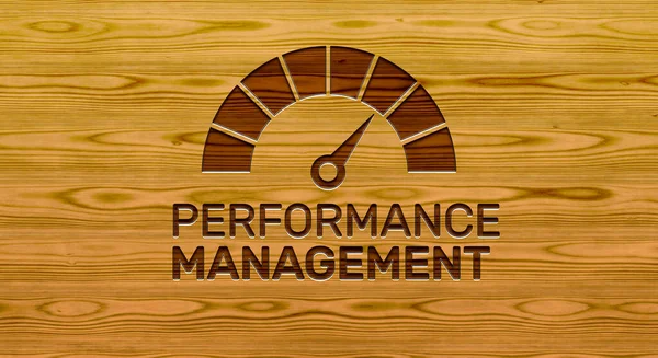 performance management icon concept