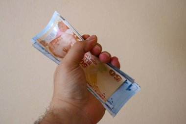 Turkish lira and economy