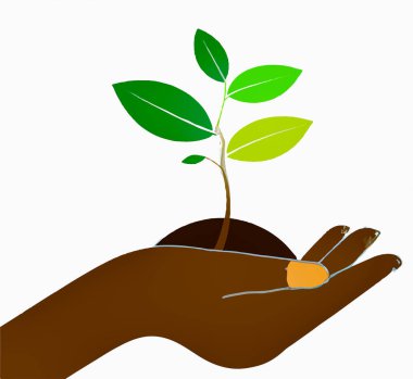 ekoloji, çevre, sürdürülebilirlik, eko.