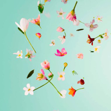 Mavi arka planda güzel çiçekler