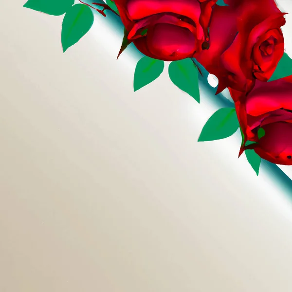 Beautiful Red Roses White Background — Stock Photo, Image