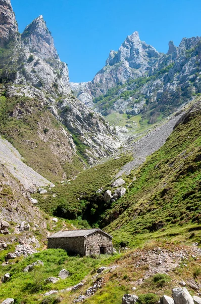 view of the mountains in the summer, Picos de Europa, Asturias, S
