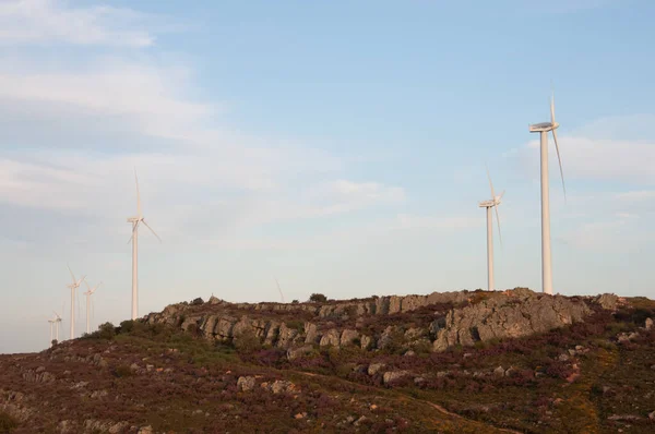 Tarlada rüzgar türbini, rüzgar jeneratörü, rüzgar enerjisi, karayolu, Zamora, İspanya