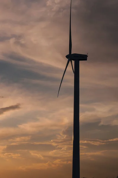 Tarlada rüzgar türbini, rüzgar enerjisi, günbatımı, Campos de Zamora, İspanya