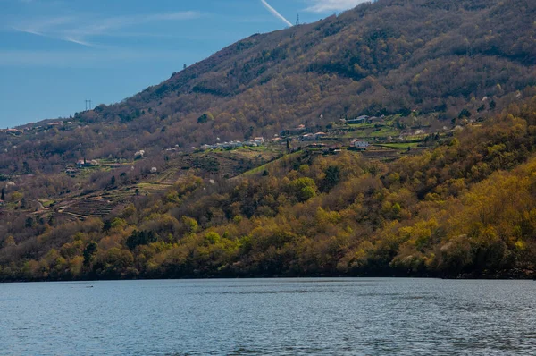 Ribeira Sacra 'daki Sil Kanyonu, Galiçya, İspanya, Avrupa manzarası. Doğa, seyahat.