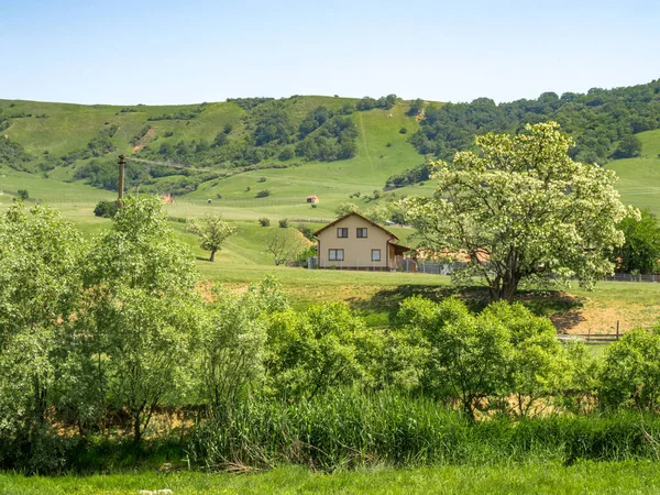 Hermoso Paisaje Del Valle Rumania Pequeña Casa Escena Rural Majestuosa —  Fotos de Stock