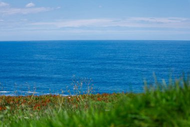 Arkaplan yeşil çimen, deniz, gökyüzü.