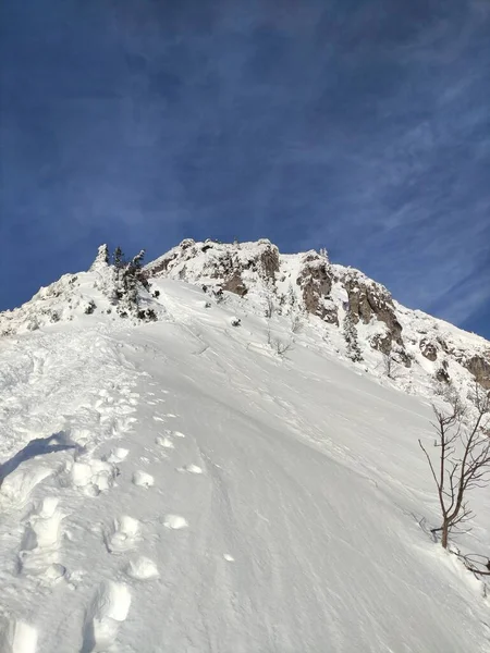 winter is coming in full force