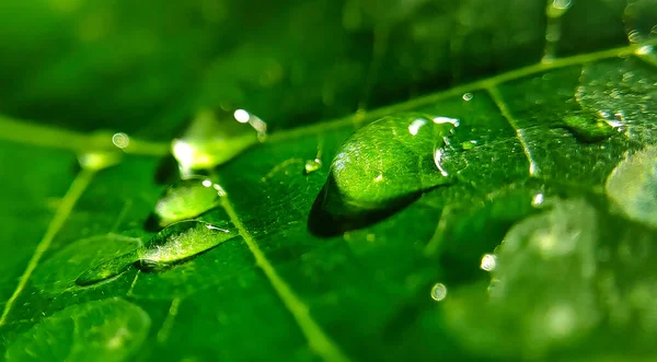 Naturalne Tło Zbliżenie Obrazu Piękne Krople Przezroczystej Wody Deszczowej Kolorowym — Zdjęcie stockowe