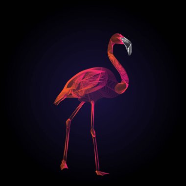 Flamingolar çizgi sanatı. Kablolu kuş resmi arkaplanı.