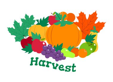 fresh fruit bunch illustration vector