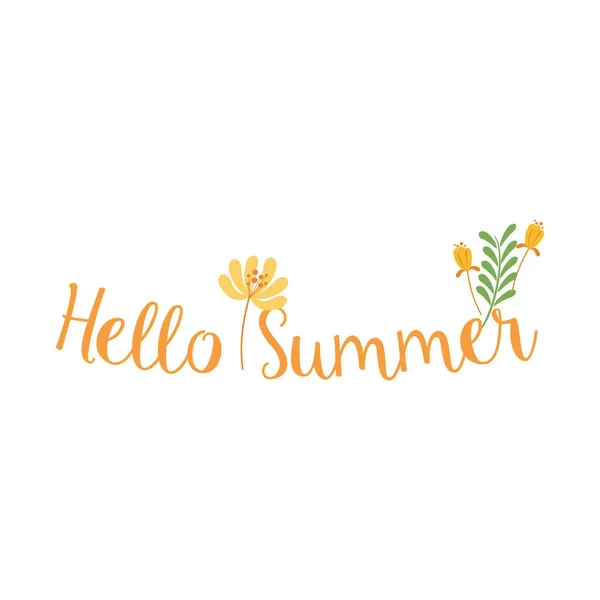 Hello Sommar Koncept Typografi Vektor — Stock vektor