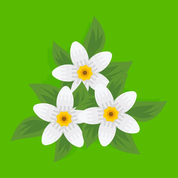 ベクトル3の白い花のコンセプト — ストックベクタ
