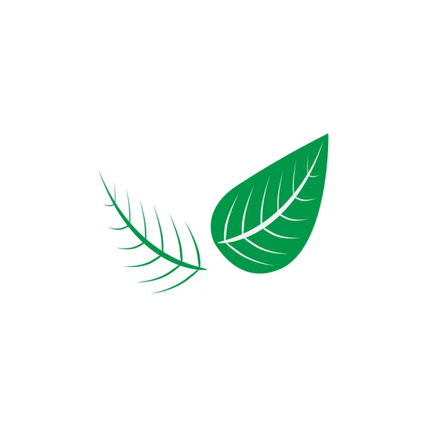 Vector Two Green Leaves Concept — Vector de stock