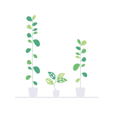 vektör üç yeşil bitki konsepti