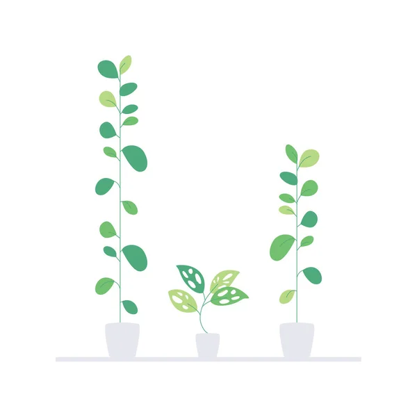 Vector Three Green Plants Concept — Vector de stock