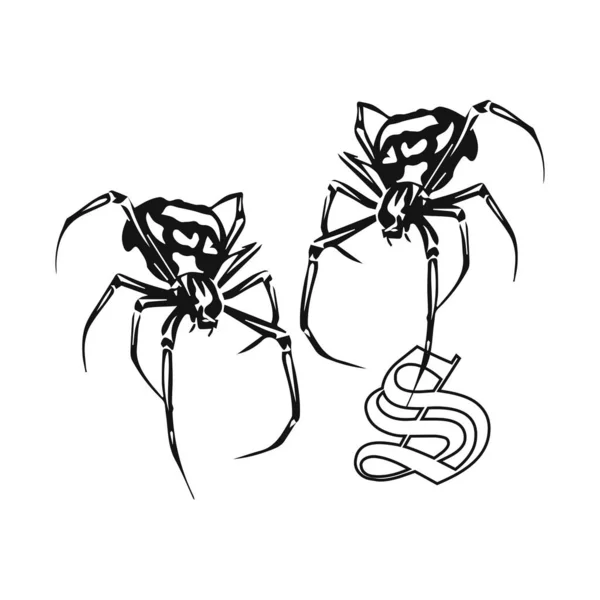 Vektorová Ilustrace Dvou Pavouků — Stockový vektor