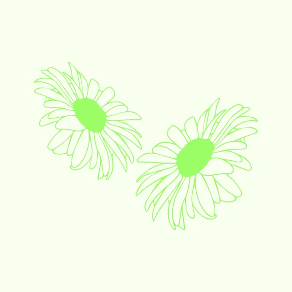 Vector Illustration Two Concept Flowers — Vetor de Stock