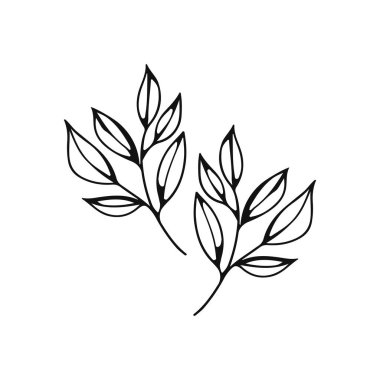 vector illustration of two leaves concept