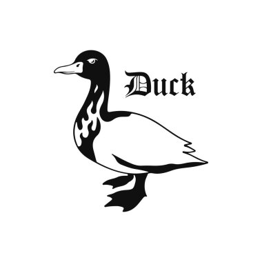 vector illustration of a duck with a concept