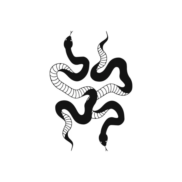 Illustration Vectorielle Concept Deux Serpents — Image vectorielle