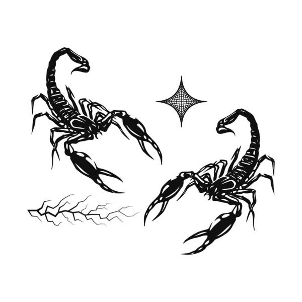 Two Black Scorpions Vector Illustration — Stockový vektor