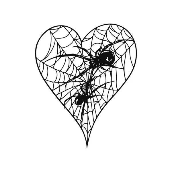 Vector Illustration Spider Web — Stockvektor