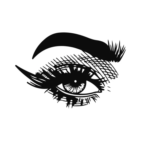 Vektorová Ilustrace Detailů Ženských Očí — Stockový vektor