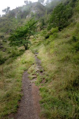 İskoçya 'daki sisli Ochil tepelerinde dar bir patika uzaklara doğru esiyor.