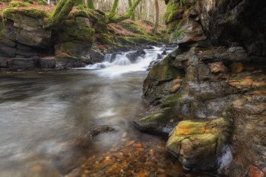 Aberfeldy Birkleri 'nden akan Moness Yanığı' na uzun süre maruz kalmışsın.