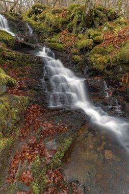 İskoçya 'daki Aberfeldy Birks, Perthshire' da kayalardan dökülen bir şelale.