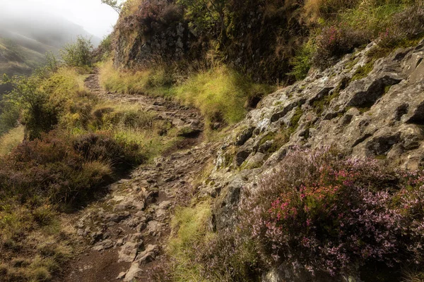 A narrow path winds round the misty Ochill hills in Stirlingshire, Scotland.