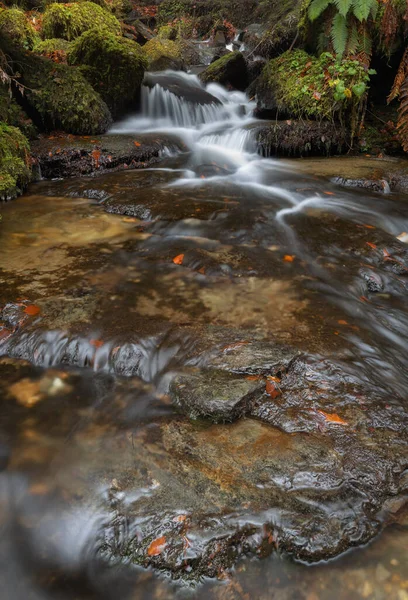 Detailní Záběr Vodopádů Moness Burn Birks Aberfeldy Scotland — Stock fotografie