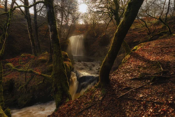 Floresta Torno Dalcairney Falls Pegando Final Tarde Sol Inverno — Fotografia de Stock