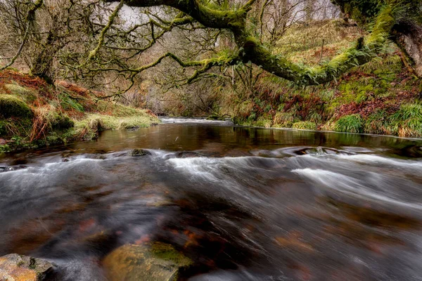 Rychle Tekoucí Řeka Převislými Větvemi Stromů Poblíž Dalcairney Falls Ayrshire — Stock fotografie