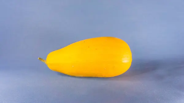 Calabacín Amarillo Sobre Fondo Azul — Foto de Stock